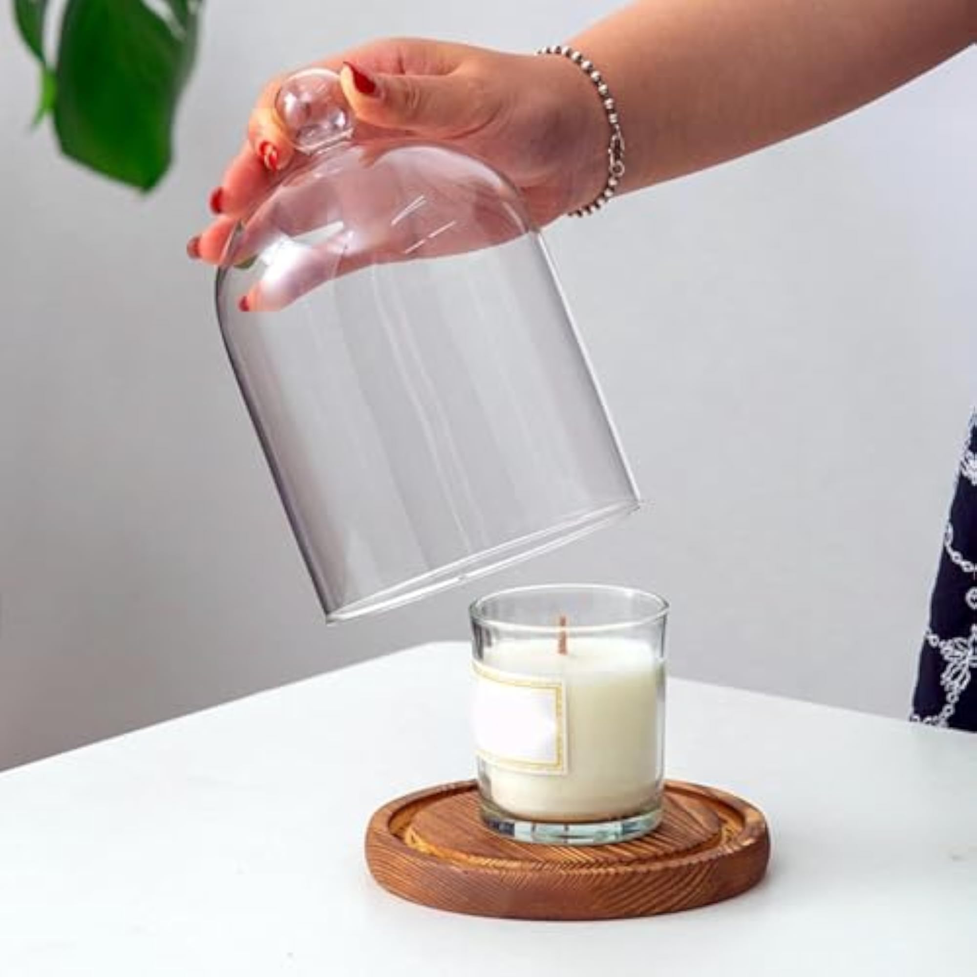 Clear Glass Dome Bell Jar for Centrepieces, Multipurpose