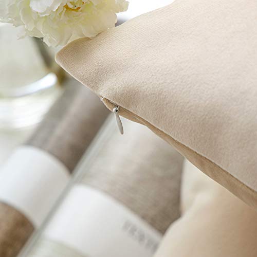 Phantoscope Pack of 2 Velvet Decorative Throw Pillow Covers Soft Solid Square Cushion Case for Couch Beige 22 x 22 inches 55 x 55 cm