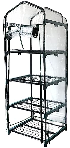 DIVCHI 4 Tier Greenhouse for Indoor & Outdoor Use | Durable Steel Frame | Clear PVC Cover | Ideal...