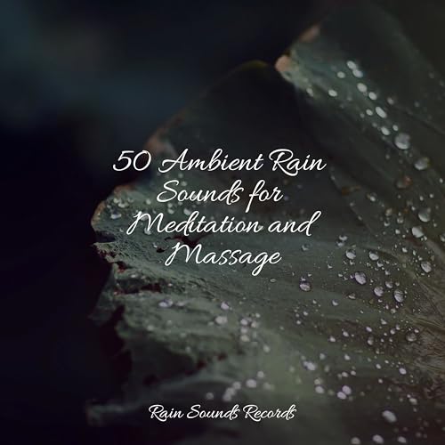 Play 50 Ambient Rain Sounds for Meditation and Massage by White Noise ...