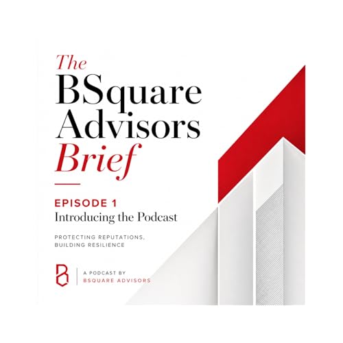 Introducing The BSquare Advisors Brief