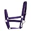 Purple with Black