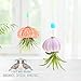 2 Dirty Birds, Handmade Live Jellyfish Air House Plants, Hanging Sea Urchin Shell w/Sea Glass, Swarovski, & Freshwater Pearls (Pack of 2)