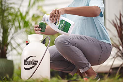 Roundup For Lawns₅ Concentrate (Southern) - All-In-One Weed Killer For Lawns, 32 Oz. #TOP6