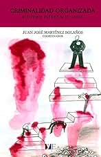 Criminalidad Organizada: Estudios Internacionales