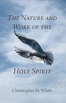 Paperback The Nature and Work of the Holy Spirit Book