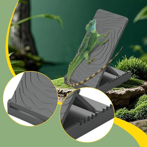 Structure pour gecko et lézard - Aménager un terrarium dynamique et sûr - 5