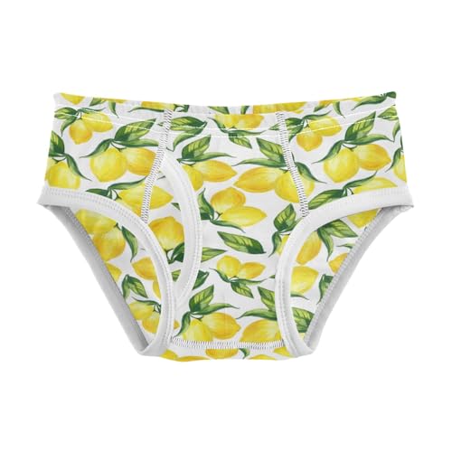 Boys' Exclusive Briefs Toddler Underwear 95% Combed Cotton Boxerbriefs 2T Lemon and Leaf Pattern 34