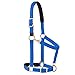 Weaver Leather Padded Breakaway Adjustable Chin and Throat Snap Halter, 1" Average Horse or Yearling Draft, Blue