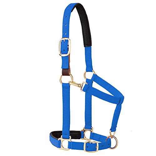 Weaver Equine Breakaway Horse Halter, Comfort Foam Padding, Adjustable Chin & Throat Snap Halters for Horses, Equine Tack,Average Size, Blue by Weaver Equine - Used condition - US$27.81