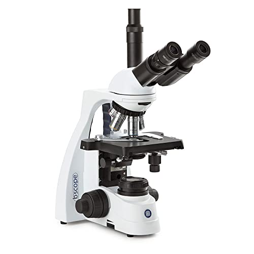 Image of bScope Trinocular Compound Microscope, HWF 10x /20mm Eyepieces and Quintuple Nosepiece with Plan PLI 4 /10 /S40 /S100x Oil Infinity Corrected iOS Objectives Globe Scientific | Euromex