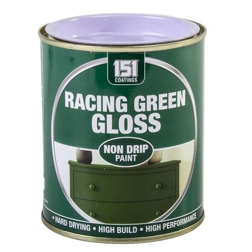 SuperGift.com 300ml Non Drip Paint Tin Exterior Interior Hard Drying Performance (Racing Green Gloss)