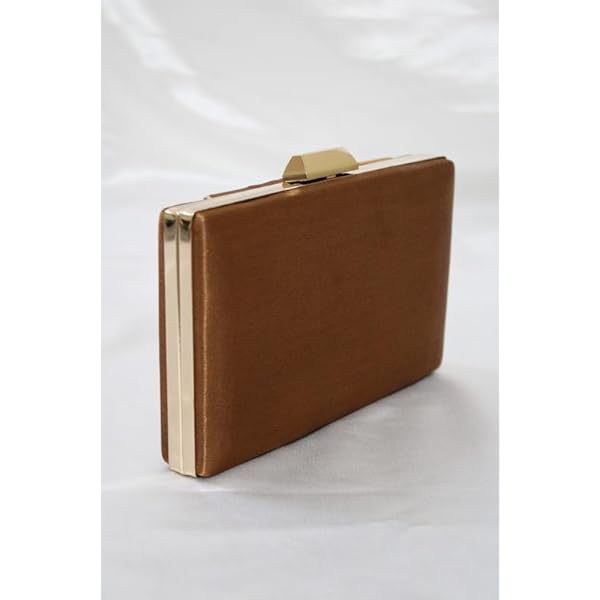M R RETAIL ENTERPRISES Fever Nude Brown Clutch Bag II Women's Traditional Designer Clutch For Women & Girls - Image 5