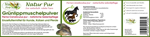 Grünlippmuschelpulver Pferd gut für Knochen Gelenke Sehnen Haut Fell Natur pur Top Qualität Natura Pro Vita 100% reines Grünlippmuschelpulver Glycosaminoglycane (Gag) hohe Bioverfügbarkeit 100g Dose