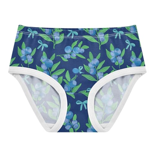 Fruit Blueberry Blue Toddler Girls's Underwear 2T 2303167
