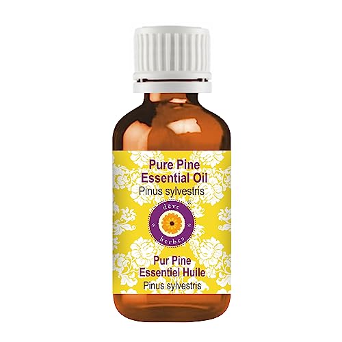 Huile essentielle de pin Pinus sylvestris pure pour diffuseur