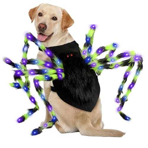 Disfraz de Araña con 64 LED para Perros Medianos y Grandes