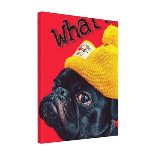 A[gplǊ| L 1 ?Ǒ?z _ |X^[  k|X^[ \t@wiAoX[N̗ǂ|[`Aؐt[free Size