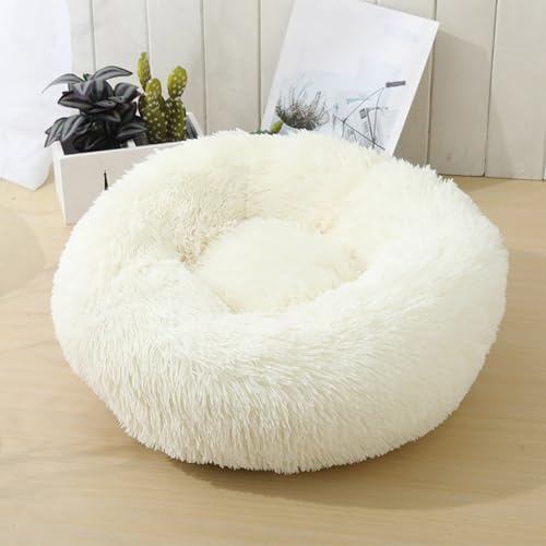 [QINTIW] ybgxbh ybgNbV ybg}bg ybg\t@ Eh^ 5fUC ی^ h[icybgxbh ӂӂxbh Q Lbgxbh ^ @\ 40 p  薰 ΍ ӂӂ