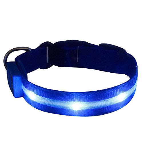 Sijueam Led Pet Hondenhalsband USB Oplaadbare Nachtveiligheid Knippert Licht Up Ketting Loop Puppy Verlichtende Kraag met Verstelbare Gesp, Maat XL in Blauw