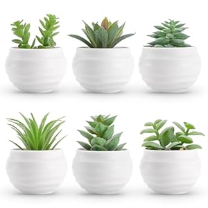 Der Rose 6Pcs Small Fake Plants Cute Artificial Succulent Faux Plants for Home Bathroom Living Room Office Desk Shelf Bookshelf Decor Indoor Aesthetic