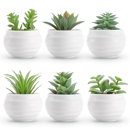 Der Rose Set of 6 Succulents Plants Artificial in Pots Small Fake...
