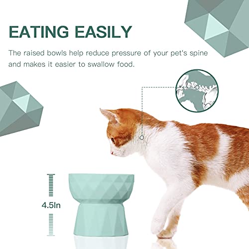 Image of PETANGEL Cat Ceramic Eelevated Anti Vomiting Pet Food Bowl (Pack Of 1 (Oval Mint Green)),?12.5 cm,H 11.5 cm,W 11.5 cm