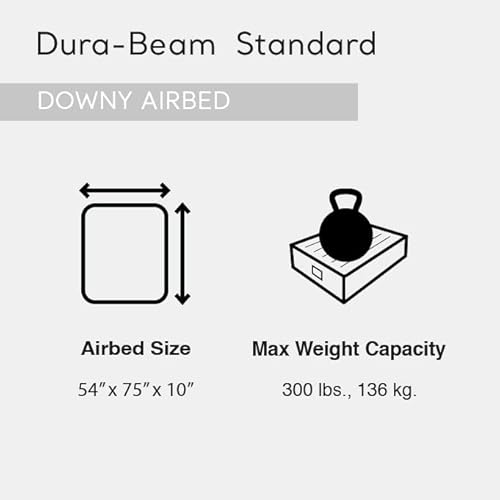 Intex 64762E Dura-Beam Standard Downy Air Mattress: Fiber-Tech thumb #2