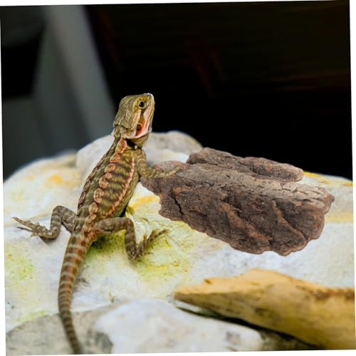 4pcs Cork Bark Reptile Decor Natural Tree Bark Climbing Platforms Reptiles Terrariums Background Cork Wood Habitat Tank Decoration for Snake Basking Lizard Hiding and Safe, Random Shape and Size - Thumbnail 4