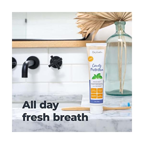 Premium Oxyfresh Cavity Protection Fresh Mint Fluoride Toothpaste