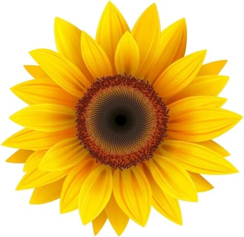 Cool Yellow Sunflower Vinyl Sticker - 5 Inches for Car Bumpers Windows Glass Door Motorcycle Truck Indoor/Outdoor - Sunflower Car Decal