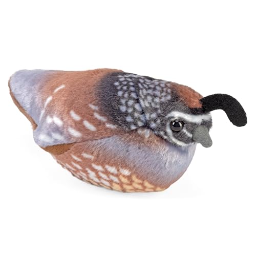 WILD REPUBLIC California Quail