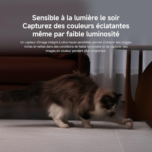 Camescope de surveillance Xiaomi - vue 8