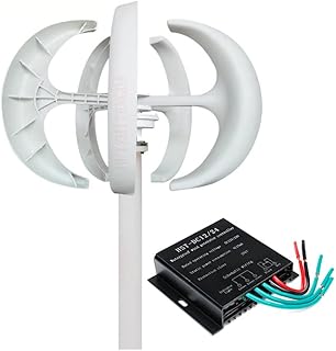 Wind Turbine Generator Kit, 12000W 12V 24V 48V 220V Lantern Wind Generator Kit 5 Blades with Controller No Noise for Home Or Camping(White)