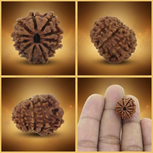 Image of Arihant Gems & Jewels 11 Mukhi Faced Rudraksha | Natural & Certified | Astrological Benefits | Positive Energy | Unisex for Men & Women (Nepali Rudraksha)