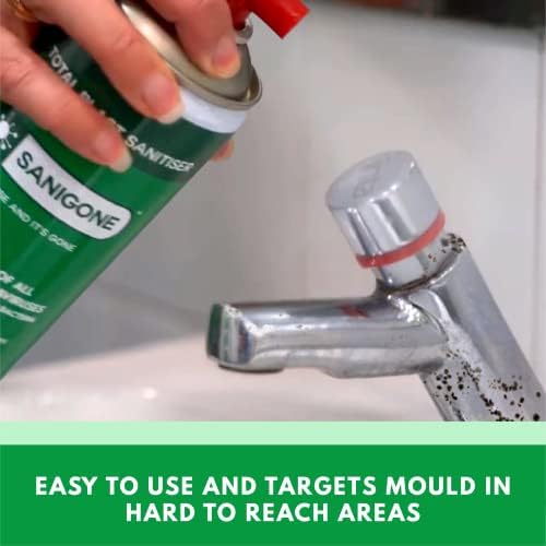 Sanigone TOTAL BLAST - Mould Remover 500ml Spray Can | Eliminate 99.99% of Germs & Bacteria | Protection from Viruses, Bacteria, Germs and Mould for up-to 7 days | Pine Scented (x1 Pack)
