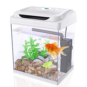 DADYPET Pecera,Mini Pecera y Acuarios,3.6L Marina Kit de Acuario con Iluminación LED Bomba Sumergible