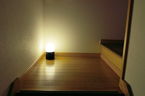 高儀(Takagi) EARTH MAN LEDガーデンセンサーライト GLT-10CLA 3枚目