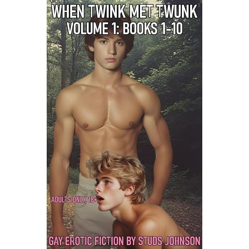 When Twink Met Twunk Audiolibro Por Studs Johnson arte de portada