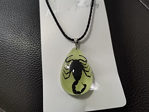 Ptgmh Glow In The Dark Necklace Black Scorpion Amber Resin Adjustable Necklace Pendent With Insect Sample Inside Birthday Gift For Lover Friends (Black（Black Scorpion）) #TOP6