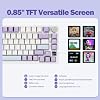EPOMAKER Ajazz AK820 Pro 75% Mechanical Keyboard, Gasket-Mounted Gaming Keyboard with TFT Smart Display&Knob + Mix 1.8m Coiled Keyboard Cable