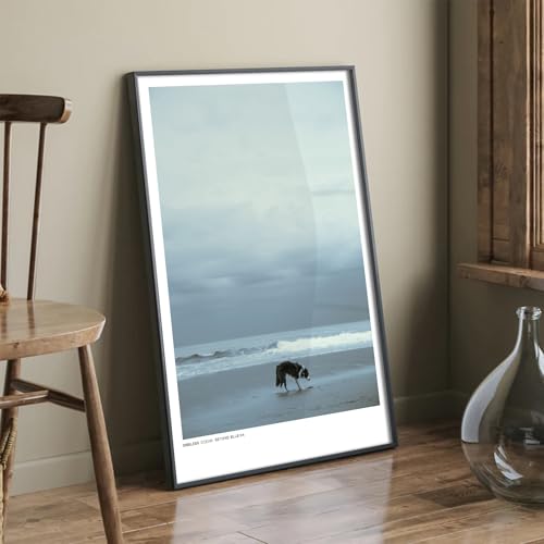 【モノトーン 海の絵】【 モノクロ 白黒 おしゃれ ビーチ ポスター】犬 絵画 風景 景色 写真 絵 人気 高級 インテリアポスター インテリアフォト アートポスター ウォールパネル ウォールデコ アートパネル モダン ポップ 北欧 雑貨 飾り 壁掛け カ