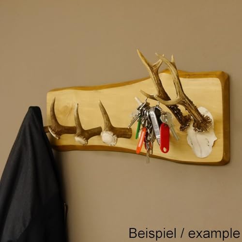 GTK - Geweihe & Trophäen KRUMHOLZ Geweih Garderobe mit 5 Haken aus Hirschspitzen Hirschrose auf Holzbrett Rehgeweih Wandgarderobe Unikat 27.8.96