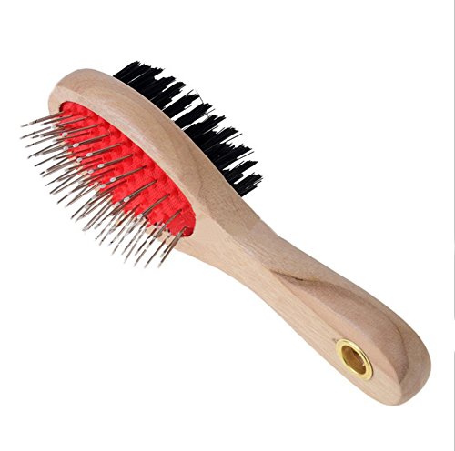 Dingang doppio gatto cane cucciolo Grooming Brush
