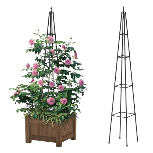 Hsundries 6FT Obelisk Trellis for Climbing Plants Outdoor, 16mm Rust-Proof