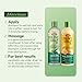 ORS Olive Oil Creamy Aloe Shampoo & Replenishing Conditioner with Aloe Vera & Orange Oil (2 Piece Set)