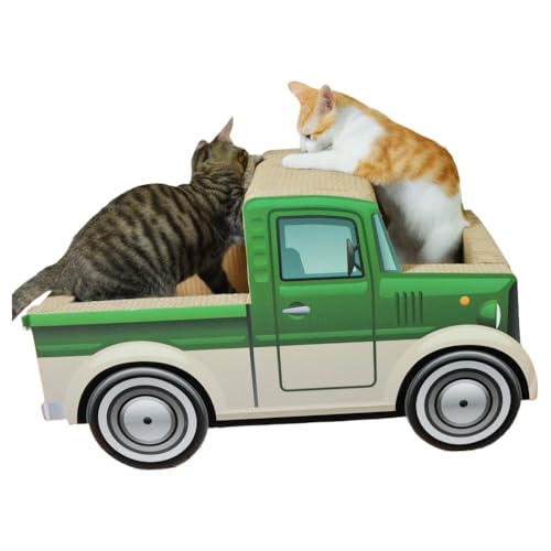 TAYTHILp܂Ƃ{[hAi{[LpVяALpnEXALbgc[̌AԁALpA܂ƂALpgCALpi (C,60x27x33cm)