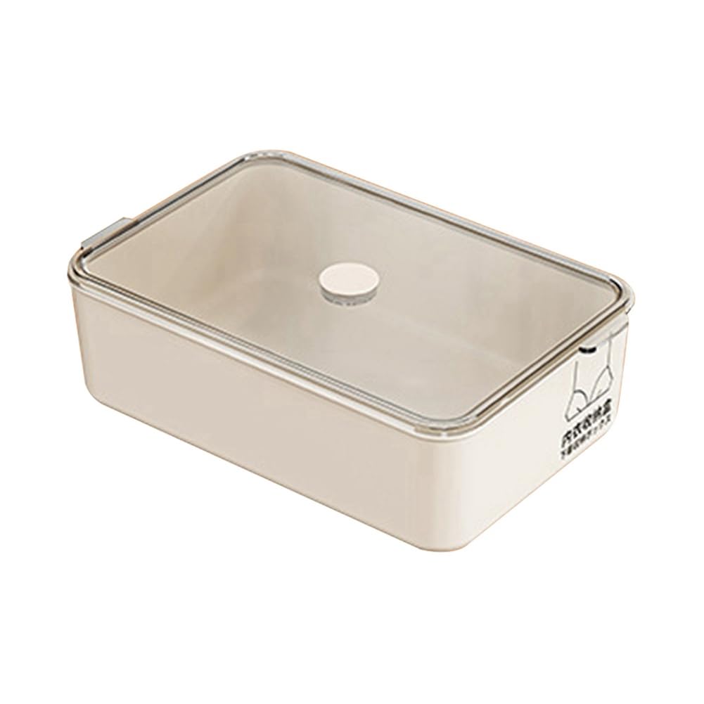 CTRLZS Large Capacity Dustproof Storage Box for Underwear and Socks Organizer Storage Box A Box with A Lid and No Lattice