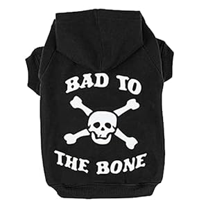 EXPAWLORER Black L Bad to The Bone Printed Skull Cat Fleece Sweatshirt Dog Hoodies