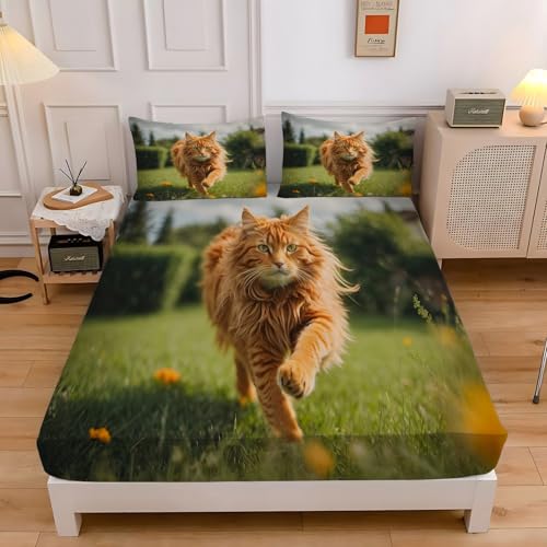 {bNXV[c NC[ IWL 􂦂xbhJo[ 160x200x30cm RۖhL}bgXJo[ єL |bvȃX^C EȒPzcV[c _炩ʋC QZbgA2 43x63 cm